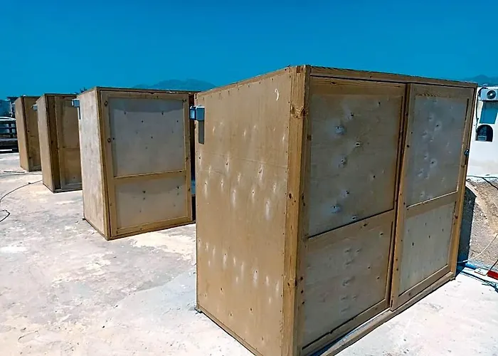 Nautilus Capsules